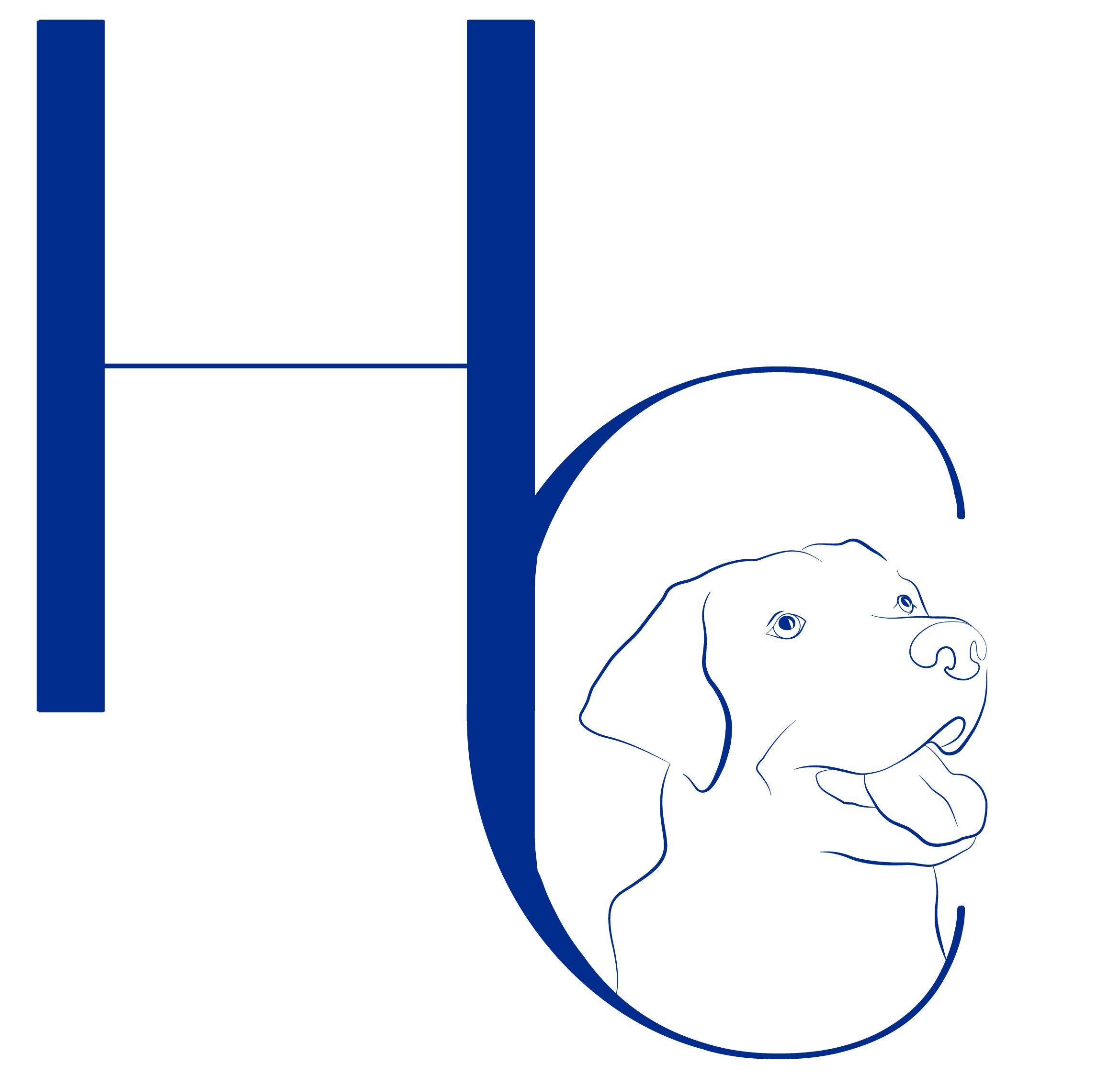 Hugo Collas : Educateur CaninComportementaliste